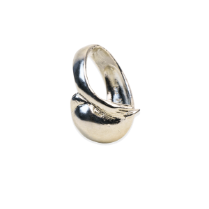 Anillo delfín
